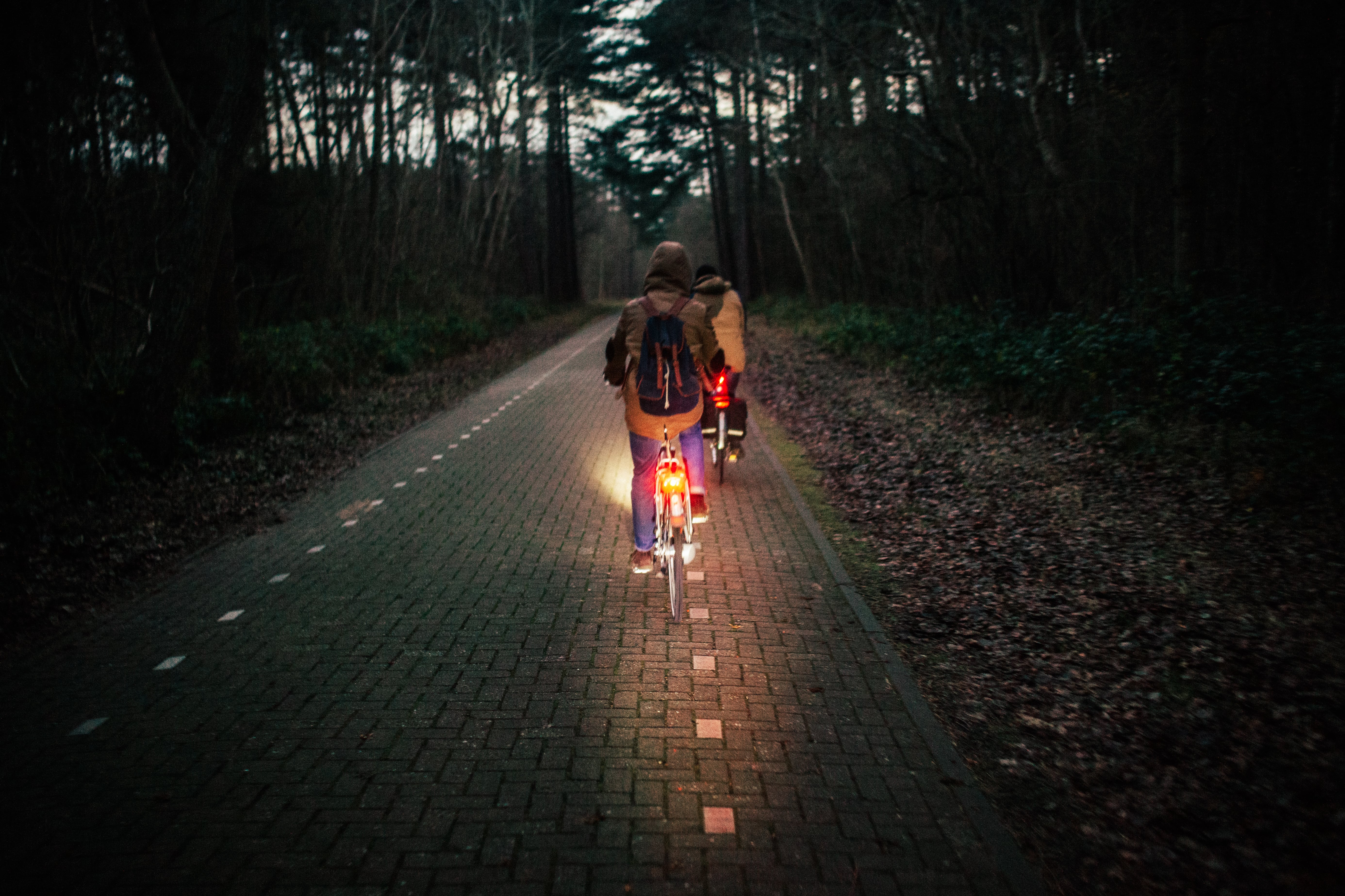 best rear bike light