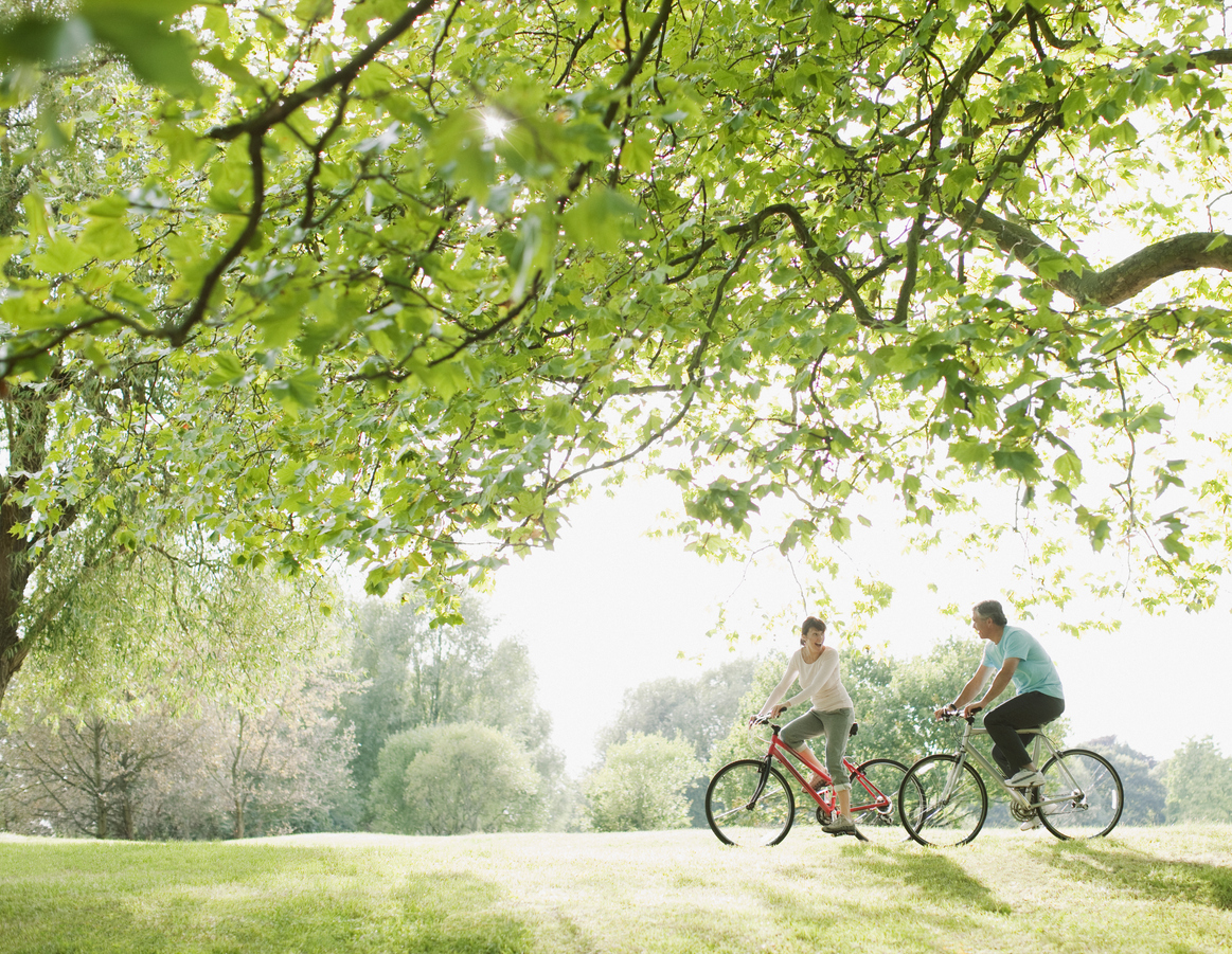 Why Cycling Is Good For The Environment Cycle Savvy The Cycleplan Blog